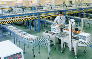 フリーカーブコンベヤ　用途例　食品工場写真