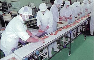 ジャブコン　用途例　惣菜工場写真