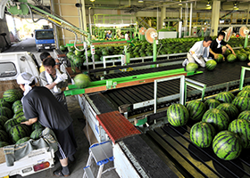 農協選果場システム導入効果写真02